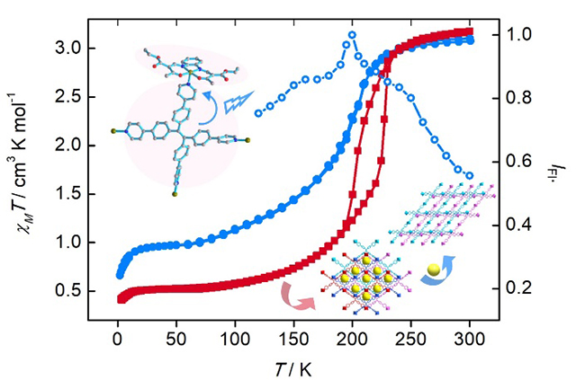 1559618610468523.jpg image001.jpg